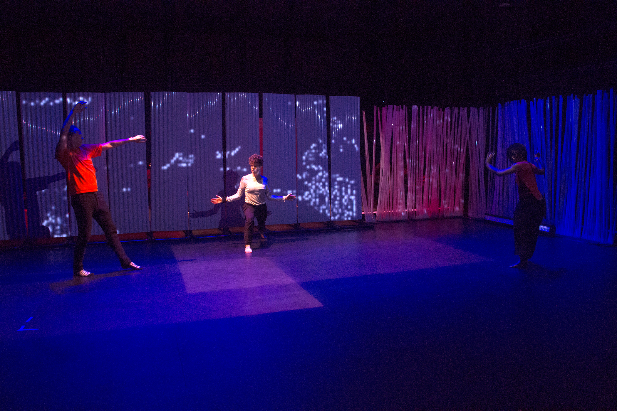 These Borders live sonification